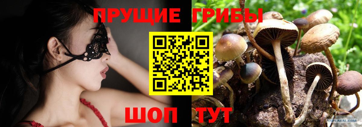 Орехово-Зуево  Галлюциногенные грибы Psilocybe  Вход с VPN 